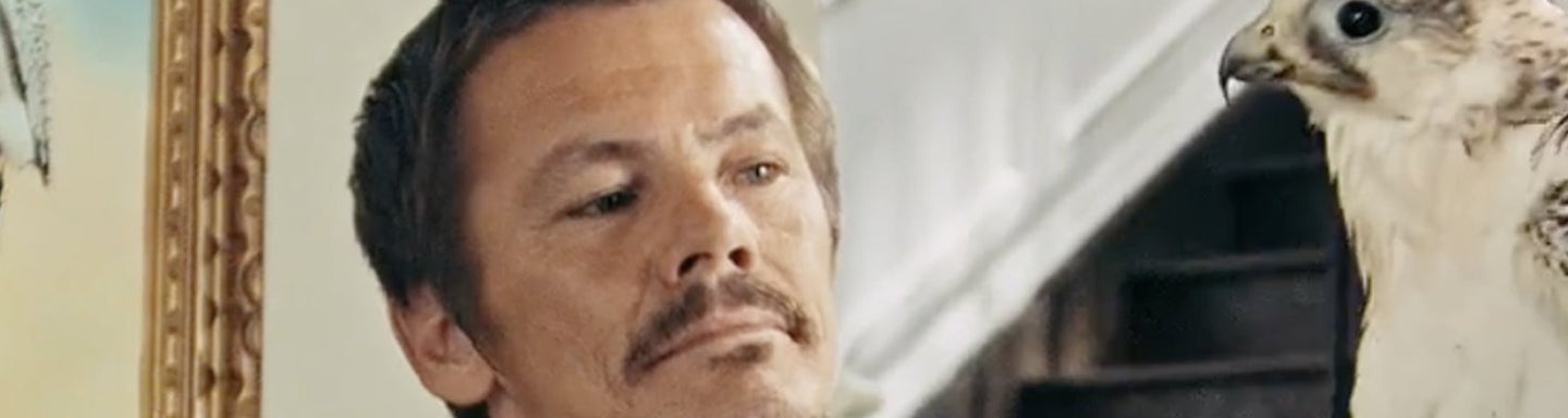 Dime x Vans Rowley XLT