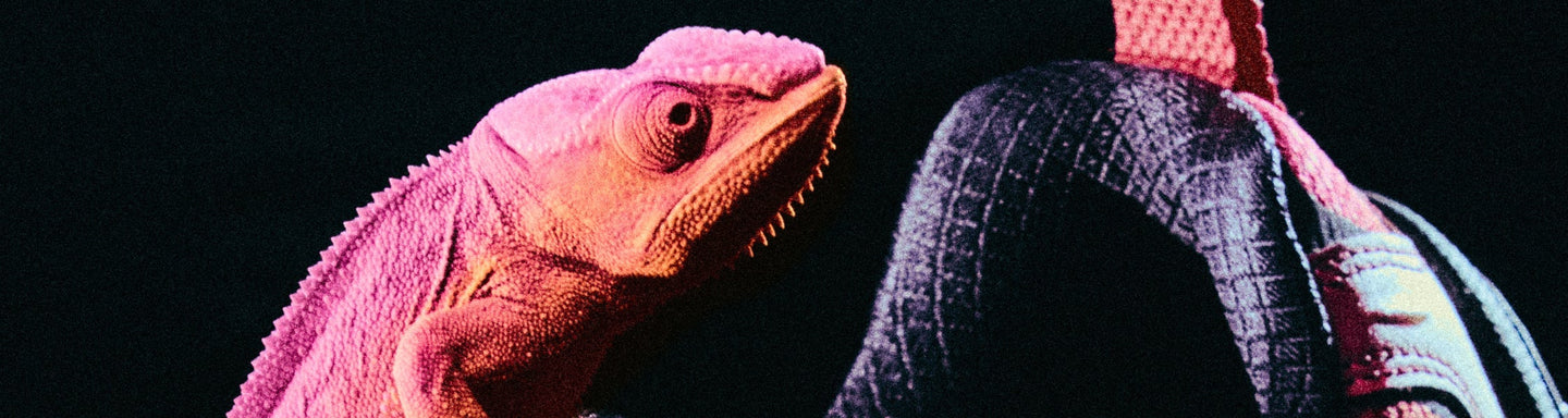 Dime x Merrell 1TRL Cham Redux SE