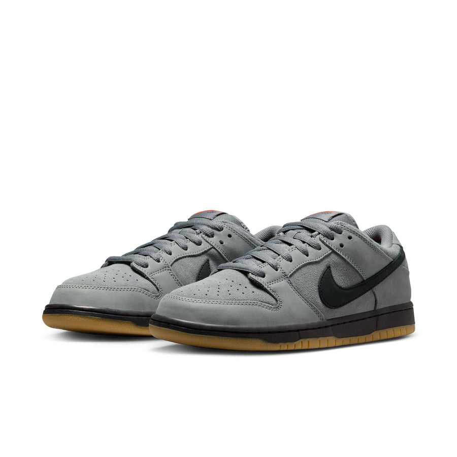 Nike SB Dunk Low Pro