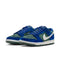 Nike SB Dunk Low Pro