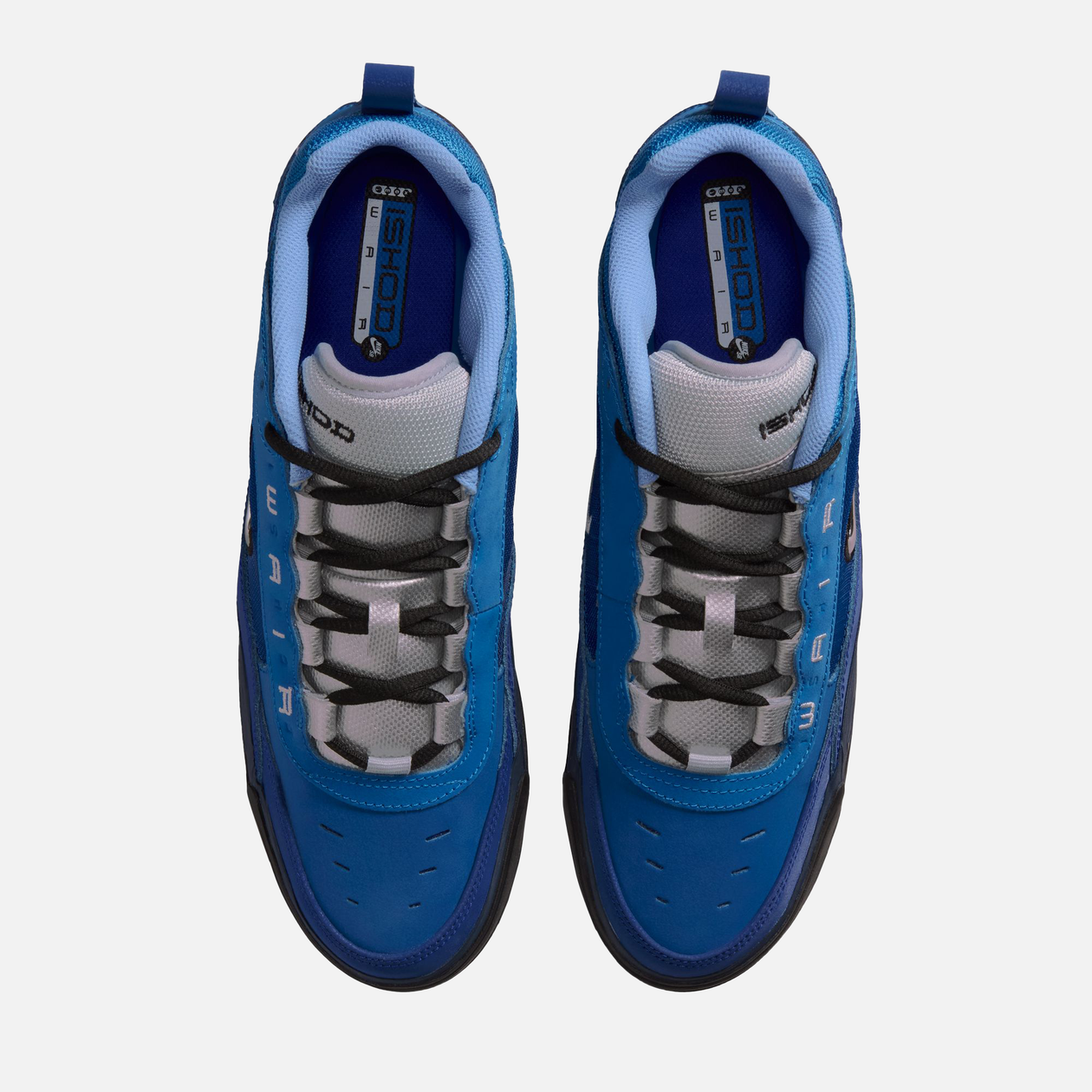 Nike SB Air Max Ishod
