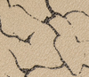 swatch_beige/brown