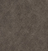 swatch_taupe