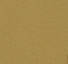 swatch_gold/silver
