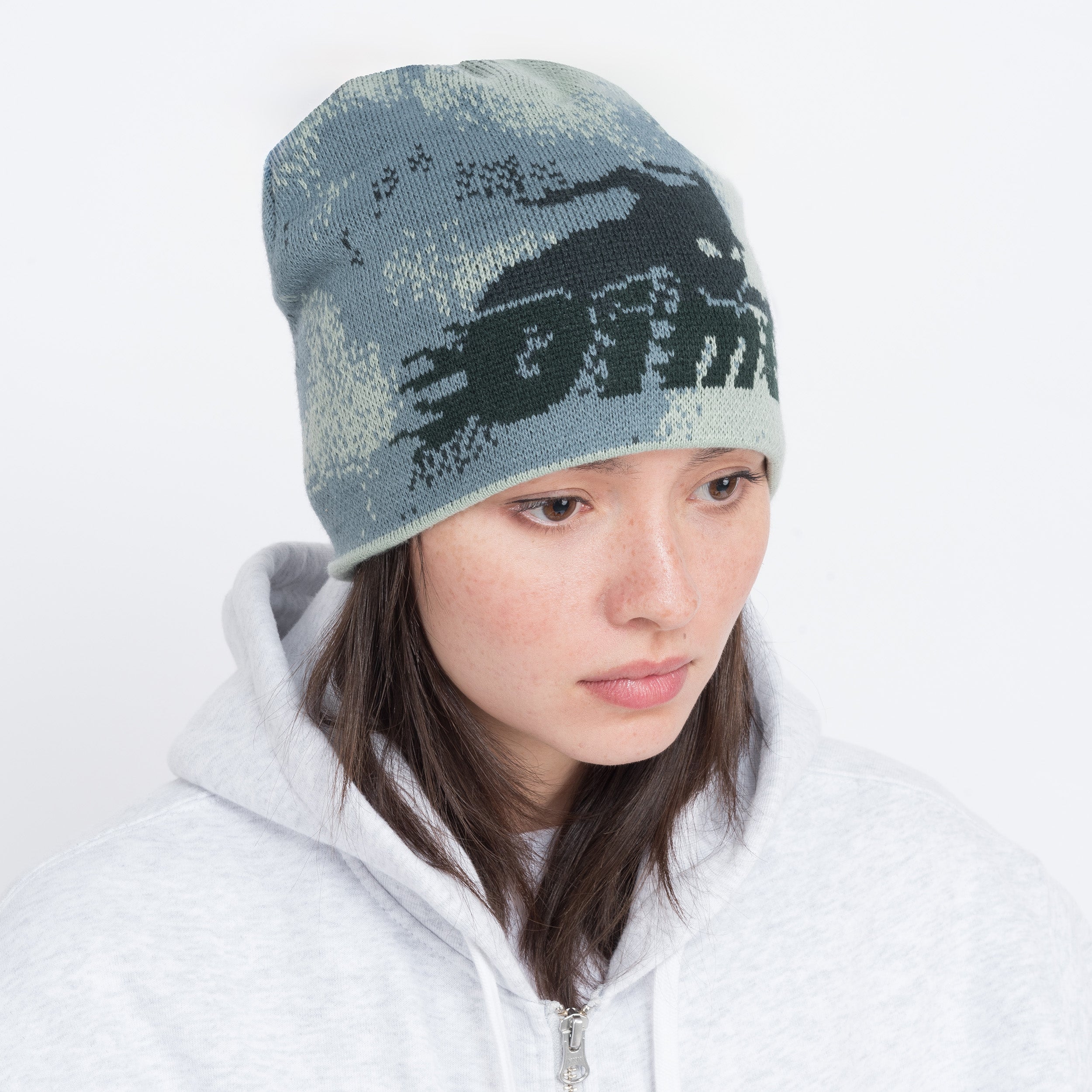 DIME] Final Skull Cap Beanie - DIME | 리켓