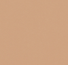 swatch_hazelnut