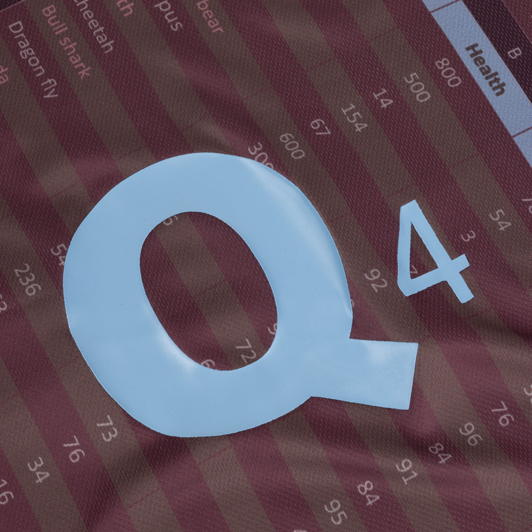 Q4 Jersey